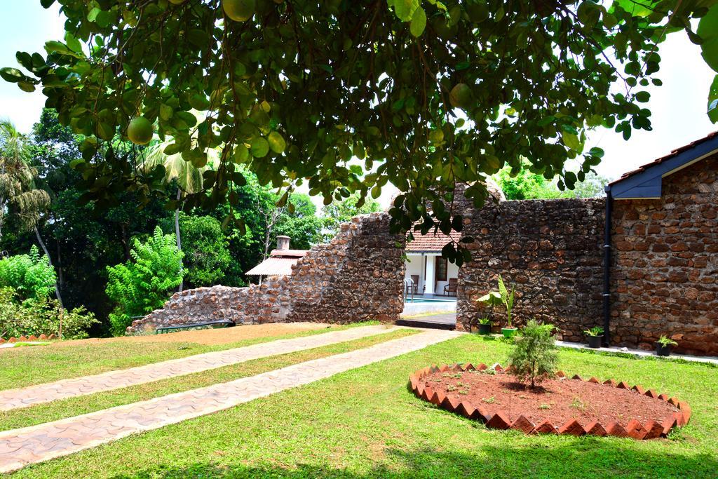 Paradise Forest Garden Hotel Matale Exterior photo