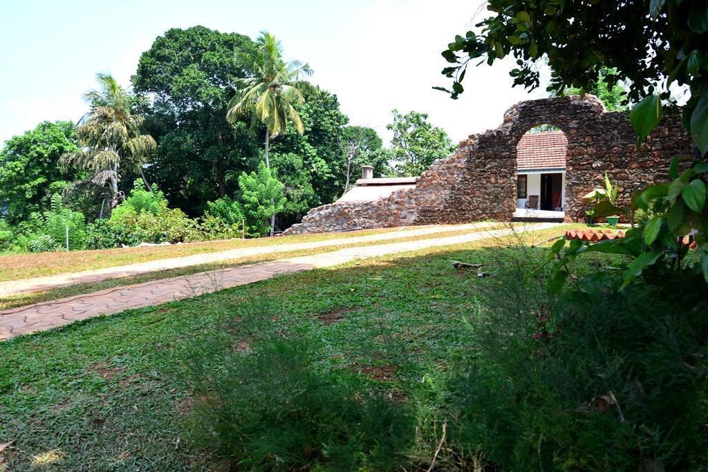 Paradise Forest Garden Hotel Matale Exterior photo