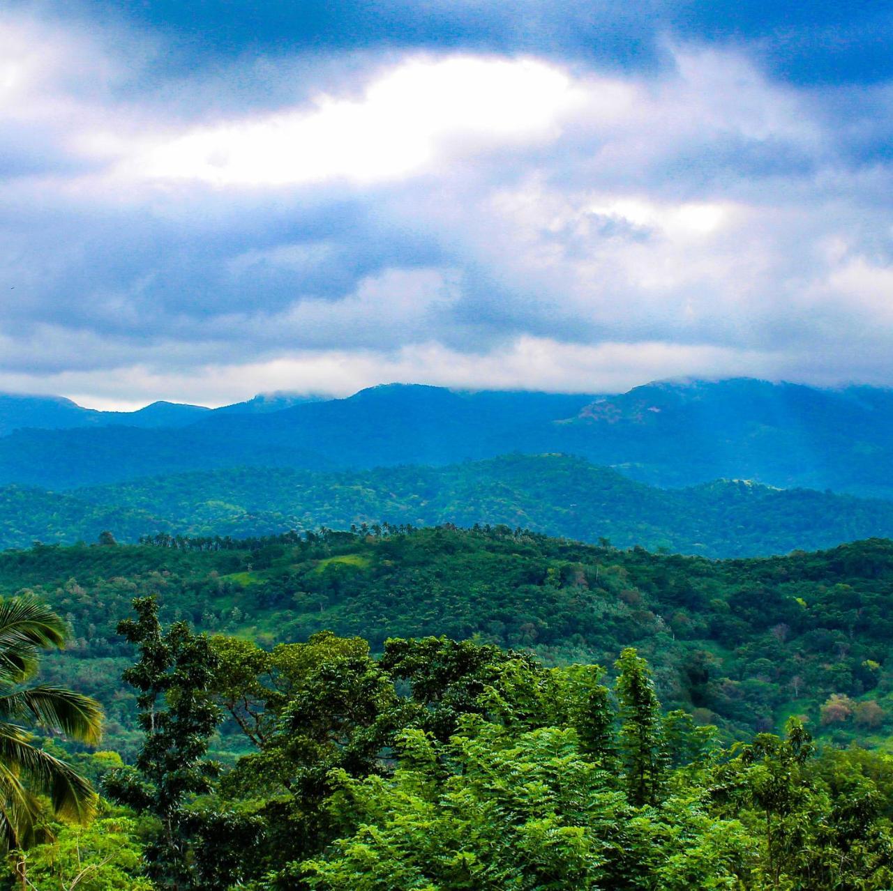 Paradise Forest Garden Hotel Matale Exterior photo